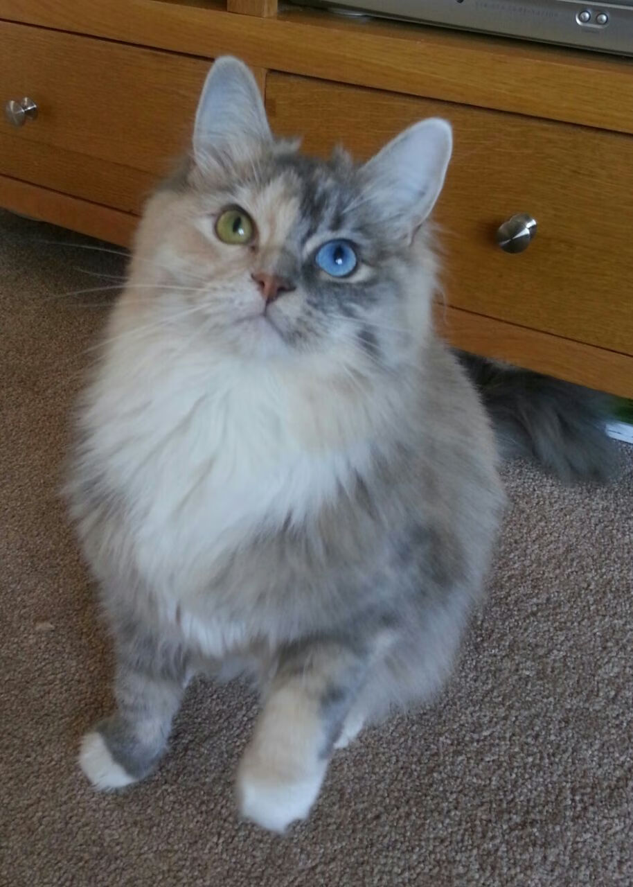 kaiyun中国官方网站-_赛事亮点：新技术助阵比赛流畅高清_，新技术吧