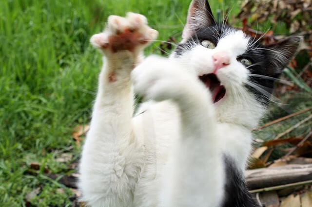 开云官网-_赛事暂停？天气因素影响比赛节奏_，球赛因天气原因中断