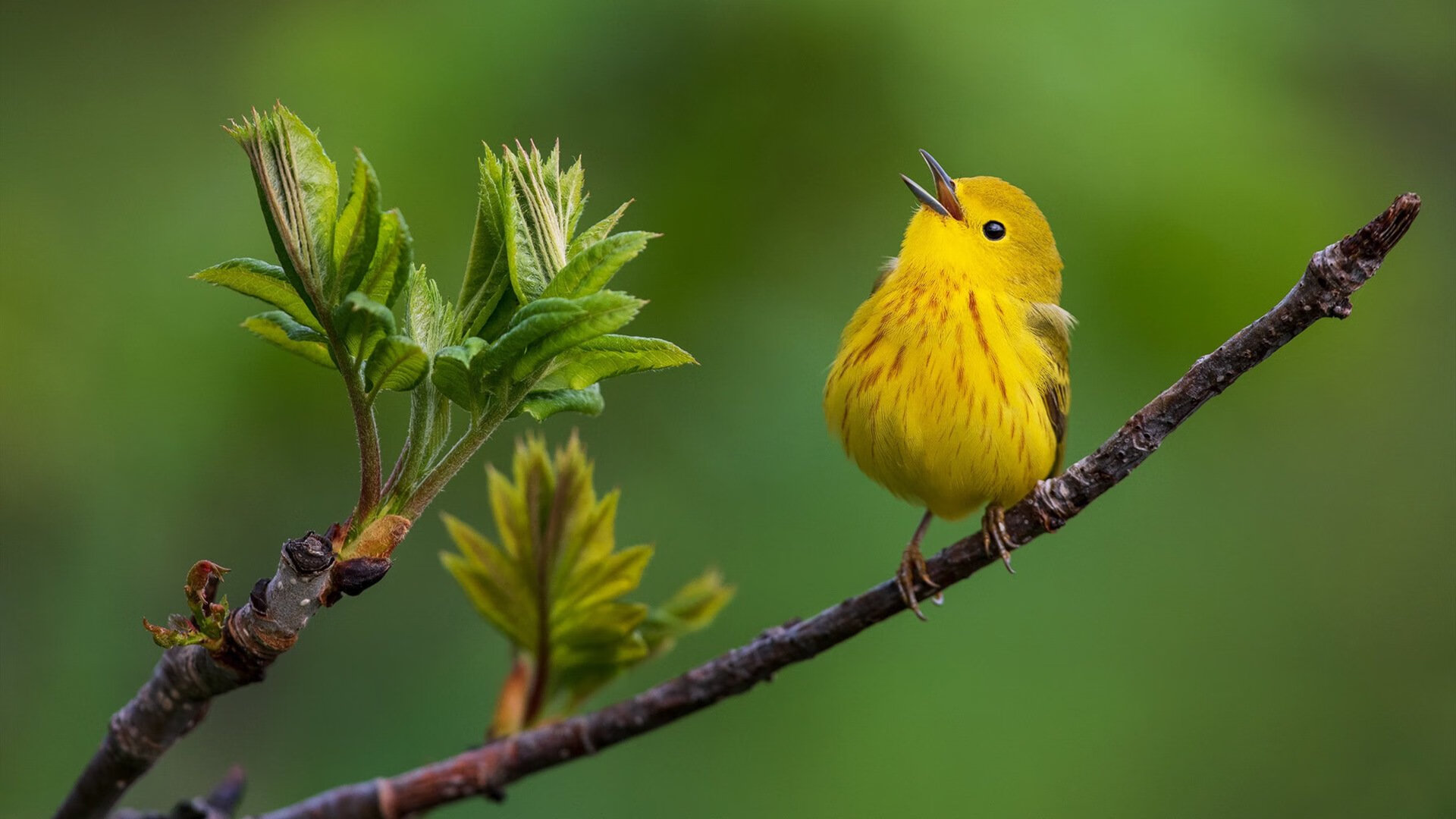 kaiyun登录入口-中国足球产业推动“科技创新+体育”模式,打造行业新标杆,振兴中国足球产业的设计方案