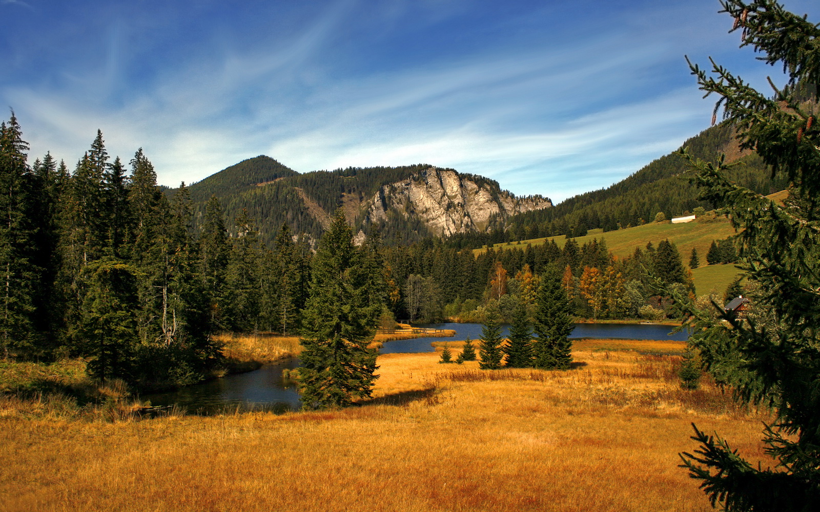 开云入口-全国马术障碍赛，骑师挑战极限的精彩瞬间，马术障碍比赛