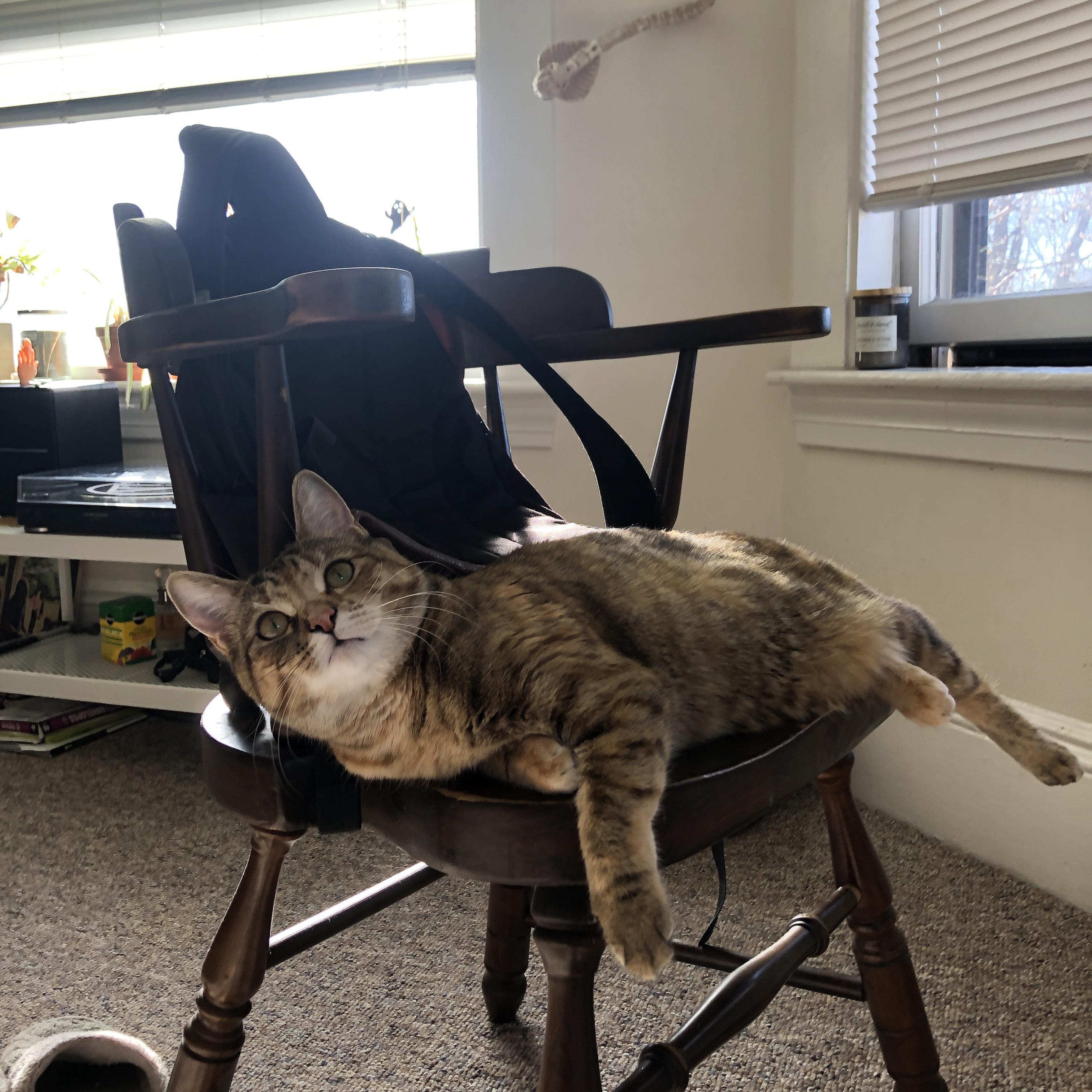 开云官方网站-哈兰德火力全开,连续10场破门斩获英超金靴,哈兰德德甲