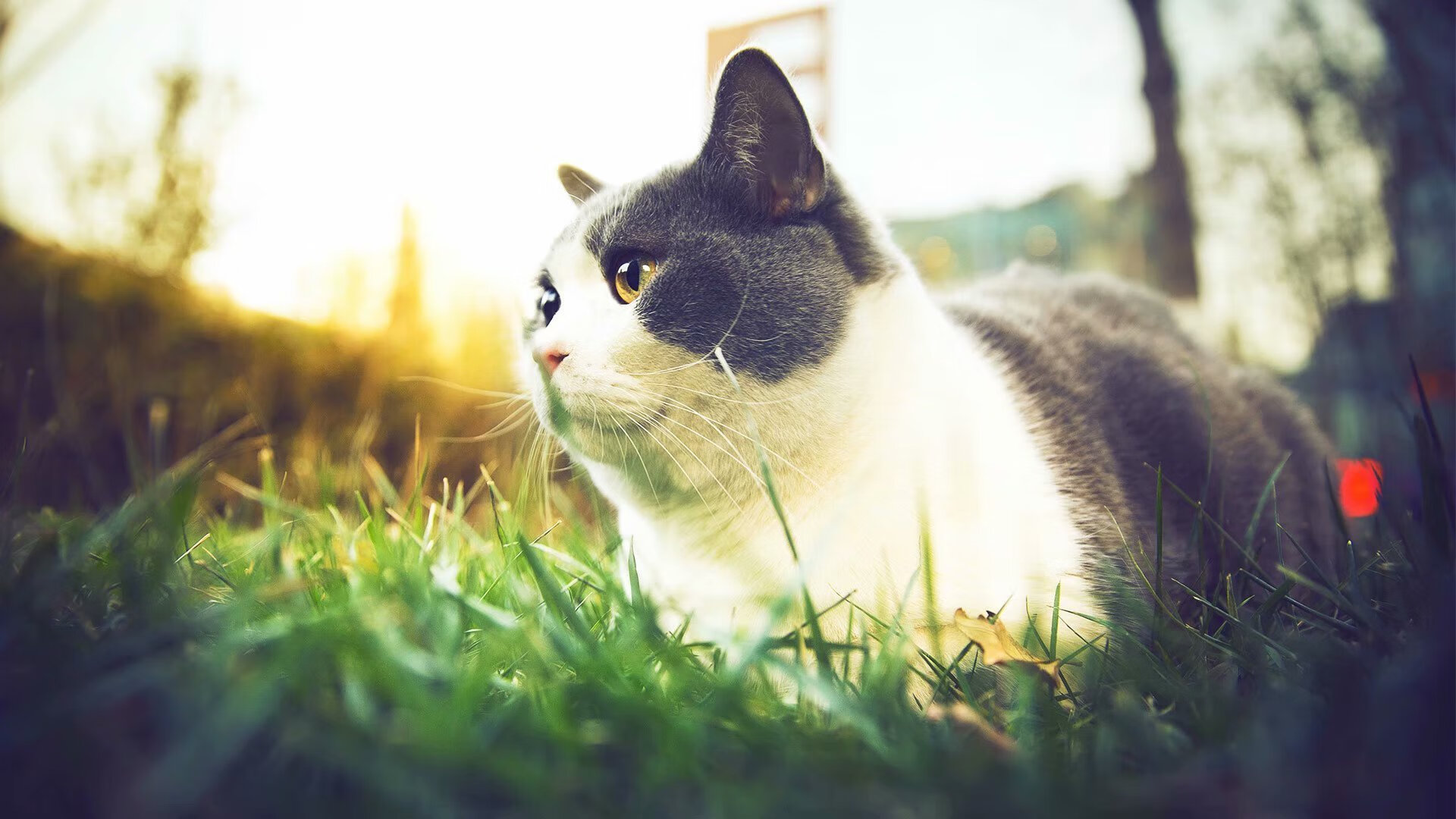 kaiyun网站-国际拳击联合会举办裁判培训班,国际拳击联合会拳王